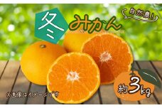 訳あり みかん 約3kg 冬みかん 蜜柑フルーツ 果物 国産 くだもの 産地直送 人気 お取り寄せ グルメ わけあり 常温 静岡県産みかん 静岡みかん  オーガニック 西浦 沼津 静岡 自然農 ふるさと 納税 沼津みかん 美味しい 冬 西浦みかん 混合 静岡県産