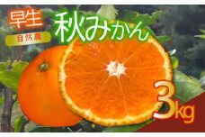 訳あり 早生 秋 みかん 約3kg 蜜柑 早生 フルーツ 果物 国産 くだもの 産地直送 人気 お取り寄せ グルメ わけあり 常温 静岡県産みかん 静岡みかん オーガニック 西浦 沼津 静岡 自然農 ふるさと 納税 沼津みかん 美味しい 秋 西浦みかん 混合 静岡県産