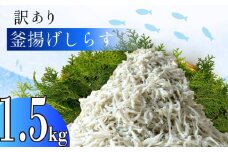 訳あり 釜揚げ しらす 1.5g 冷凍 小分け 500g × 3パック 駿河湾 の恵み シラス サイズ不揃い