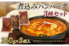 煮込みハンバーグ 3種セット 150g × 3個 デミグラス ハンバーグ トマト サルサ ソース 肉 ハンバーグ 煮込み 冷凍 小分け 個包装 真空パック おかず 簡単調理 はんばーぐ