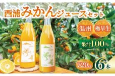 オレンジ ジュース ストレート 果汁 100％ 温州 極早生 みかん 720ml×6本 飲み比べ セット 西浦 蜜柑 濃厚 飲み物 ミカン 人気 贈答用 静岡 沼津