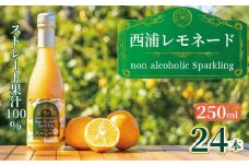西浦 レモネード スパークリング ジュース ストレート 果汁 100％ 250ml×24本 希少 柑橘 飲み物 かんきつ 人気 贈答用 静岡 沼津