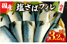 塩サバ フィレ 国産 【選べる内容量】 約3.2kg 27枚 小分け 個包装 鯖 天然 切り身 半身 肉厚 魚介 海鮮 冷凍 さば サバ フィーレ ご家庭用 贈答品 高級 人気 おかず おつまみ 静岡県 沼津市