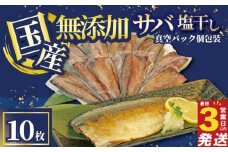 さば 干物 10枚 国産 無添加 サバ 塩干し 真空パック 個包装 焼くだけ 簡単調理 3営業日 以内 スピード発送 鯖 ギフト 贈答用 ひもの 惣菜 おかず 静岡 沼津