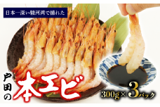 本エビ 3パック 900g 急速冷凍 産地直送 お刺身 甘エビ より甘い ヒゲナガエビ 刺身 生食 魚介類 新鮮 駿河湾 深海 しずおか食セレクション認定品 静岡県 沼津 戸田