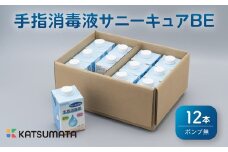 消毒液 紙パック 600ml × 12本 ケース ポンプ 無 セット 手指 消毒剤 消毒 除菌 衛生 ウイルス 対策 コロナ 防災 日用品 便利 保存 サニーキュアBE 静岡 沼津