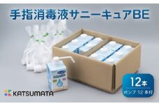 消毒液 紙パック 600ml × 12本 ケース ポンプ 有 セット 手指 消毒剤 消毒 除菌 衛生 ウイルス 対策 コロナ 防災 日用品 便利 保存 サニーキュアBE 静岡 沼津
