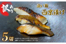 訳あり 西京漬け 追い麹 計5切 カレイ 青ひらす 真空 個包装 レシピ 付き 漬け 魚介 海鮮 戸田塩 麹 塩麹 静岡 沼津
