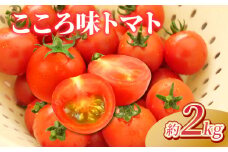 野菜 プチトマト 2kg こころ味トマト ミニ ミニトマト 新鮮 摘みたて 就労支援 こころみファーム　こころ味トマト 産地直送 静岡県 沼津市