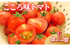 野菜 プチトマト 1kg こころ味トマト ミニ ミニトマト 新鮮 摘みたて 就労支援 こころみファーム　こころ味トマト 産地直送 静岡県 沼津市