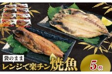 干物 詰め合わせ セット 5種 5枚 レンジ 簡単調理 真空パック 個包装 お手軽 ひもの あじ ほっけ さば フィーレ さば味醂 さけ 静岡県 沼津市 魚介 干物セット 美味しい 極上 静岡 沼津 コスパ