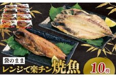 干物 詰め合わせ セット 5種 10枚 レンジ 簡単調理 真空パック 個包装 お手軽 ひもの あじ ほっけ さば フィーレ さば味醂 さけ 静岡県 沼津市 魚介 干物セット 美味しい 極上 静岡 沼津 コスパ