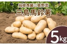 三島馬鈴薯 5kg JAふじ伊豆 じゃがいも 馬鈴薯 三島 いも 野菜 芋 農作物 ポテト コロッケ 肉 じゃが 【化粧箱入り】 メークイン
