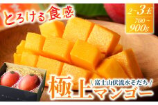  マンゴー 2-3玉 700g-900g 期間限定 数量限定 果物 フルーツ くだもの 富士山 伏流水 そだち みしま 予約 2025年7月 順次発送 南国 トロピカル 高級 ギフト 贈答品 夏 旬 みつ 完熟 甘い 芳醇 国産 三島市 静岡県
