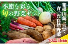 季節を彩る旬の野菜セット （農薬・化学肥料不使用） 野菜 やさい サラダ 旬のおまかせ 季節 詰合せ 新鮮 産地直送 ふるさと納税 静岡県 三島市 