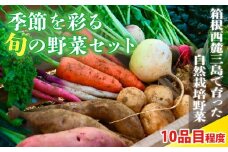 季節を彩る旬の野菜セット （農薬・化学肥料不使用） 野菜 やさい サラダ 旬のおまかせ 季節 詰合せ 新鮮 産地直送 ふるさと納税 静岡県 三島市 