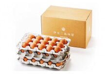 日の出たまご 45個入り 卵 新鮮 朝採れ たまご 生卵 卵 玉子 鳥 鶏 箱根 西麓の広大な土地で育てられた 鶏 がうむ、三島のブランドたまご 静岡県 三島市