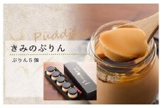 プリン きみのぷりん 5個入り スイーツ お菓子 プリン 甘味 デザート 濃厚 カラメル 三島ブランド「日の出たまご」を使用した濃厚なプリン  静岡県 三島市