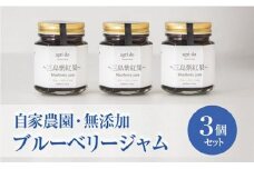 ブルーベリージャム 3個入り ブルーベリー フルール ジャム 果物 三島紫紅果 みしまぶるーべりー agri do 果実 静岡県 三島市