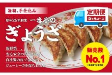 定期便 5ヶ月 冷凍餃子 63個 21個入り× 3箱 毎朝 手仕込み 老舗 一番亭 モチモチ 皮 野菜 たっぷり 豚肉 満足感  手軽 絶品 晩ごはん 家族 お裾分け 子ども 弁当 惣菜 お取り寄せ 大容量 家庭用