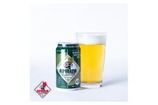 【定期便3ヶ月】クラフトビールリパブリュー REPUBREW Repubrew本生 （リパブリューホンナマ） 69IPA 6本 3回お届け ビール お酒  クラフトビール プレゼント お祝い 父の日