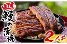 【2025年9月～順次発送】うなぎ 蒲焼 2人前 桜家 真空パック 鰻 うなぎ 人気 お取り寄せ 三島 静岡 蒲焼 土用丑の日
