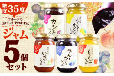  糖度35度 ジャム 5種セット 5種各1個 ブルーベリー イチゴ ニューサマー オレンジ カシス りんご フルーツ 贈答用 プレゼント 果実 高糖度 手作り 朝食 パン トースト ヨーグルト 贅沢 スイーツ デザート 三島市 静岡県