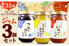 【糖度35度】ジャム3種セット 3種各1個 ブルーベリー イチゴ ニューサマー オレンジ フルーツ 贈答用 プレゼント 果実 