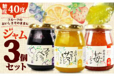  糖度40度 ジャム 3種セット 3種各1個 ブルーベリー イチゴ ニューサマー オレンジ フルーツ 贈答用 プレゼント 果実 高糖度 手作り コンフィチュール 朝食 パン トースト ヨーグルト スイーツ デザート 三島市 静岡県