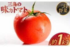 【予約受付中】三島の味力トマト 1kg トマト 完熟 高糖度 野菜 数量限定 とまと フルーツ トマト 贈答用 1万円以下 