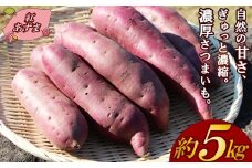 【予約受付中】三島甘藷 約 5kg 紅あずま 山北印 さつまいも さつま芋 産地直送 野菜 冬野菜 焼き芋 芋 やきいも ヤキイモ 人気 おやつ 上品な甘み 香り デザート秋 旬 生芋 蜜芋 静岡県 三島市 JAふじ伊豆