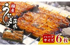 鰻蒲焼 ハーフサイズ6枚 秘伝のタレ 手焼き 真空パックうなぎ百選店 こだわりの 富士山湧水 ウナギ 土用丑の日 三島 うなぎ  晩ごはん 家族 惣菜