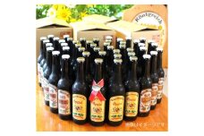0130-35-01 富士山の水を使った地ビール バイエルンマイスタービール 48本セット