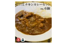 0012-38-01 静岡県産銘柄鶏 「富士の鶏」 チキンカレー 6個セット
