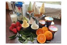 0014-01-10. 富士ミルクランド　スイーツセット（ジェラート、ロールケーキ）