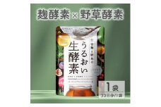 0005-101-02 酵素サプリメント 穀物麹と野草のうるおい生酵素 1袋 (31日)