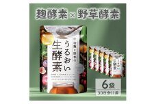0020-101-02 酵素サプリメント 穀物麹と野草のうるおい生酵素 6袋 (6ヶ月)