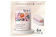 0020-101-03 ILUS ルナハーブ 6袋 (6ヶ月)