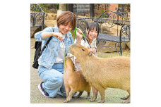 伊豆シャボテン動物公園入園引換券(エサあげチケット&グッズつき)1名様【1014969】