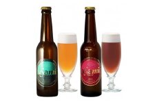 USAMI　BEER　2種×15(30本)セット【1016576】