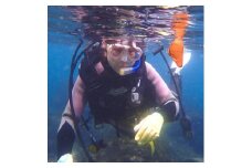 伊東・城ヶ崎の海で＜2ビーチファンダイブ＞ジオパークの海中世界をご案内!【1065921】