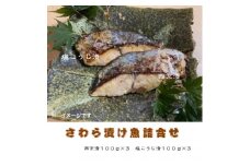 静岡県御前崎産『本さわら漬け魚詰合せ』【1120326】