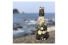 黒糖梅酒潜酔酒【1380230】