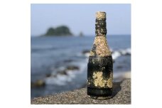 純米大吟醸潜酔酒【1380231】