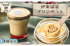 伊東温泉プリンセット　5個入り【1383400】