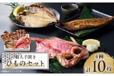 ＜伊東市＞職人手開き ひものセット【1394361】