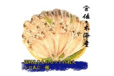 干物セット＜上あじ16枚セット＞　伊豆・伊東のひもの詰め合わせ　静岡県伊東市【1404230】