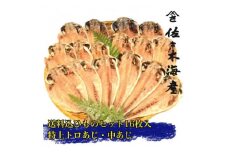 干物セット＜初島C＞特トロあじ・中あじ各8枚　伊豆・伊東の干物詰め合わせ【1440775】