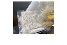 極冷煮あわび1個入×3パック・極冷生しらす200g×2パック【1468552】