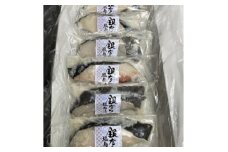 ＜毎月定期便＞銀だら塩麹漬(100g×6切れ)全3回【4007814】